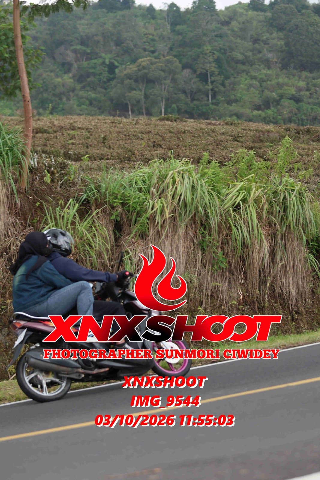 IMG_9544_result.jpg