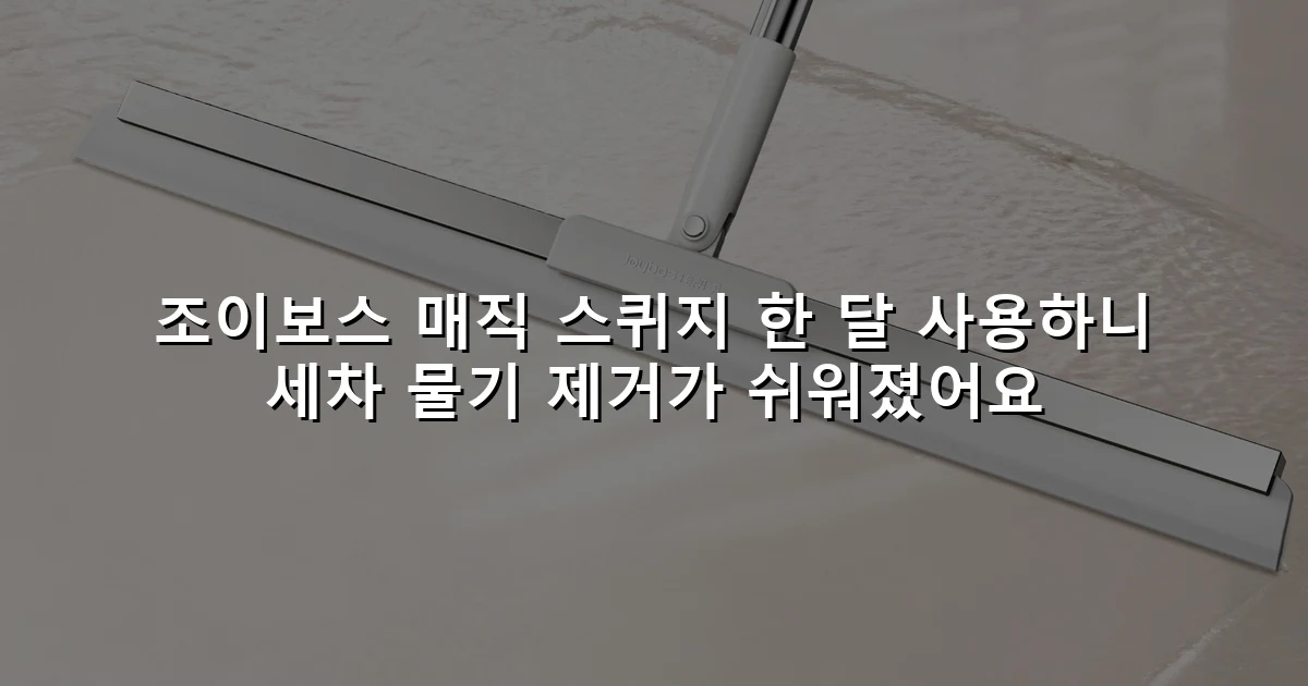 조이보스 매직 스퀴지 한 달 사용하니 세차 물기 제거가 쉬워졌어요