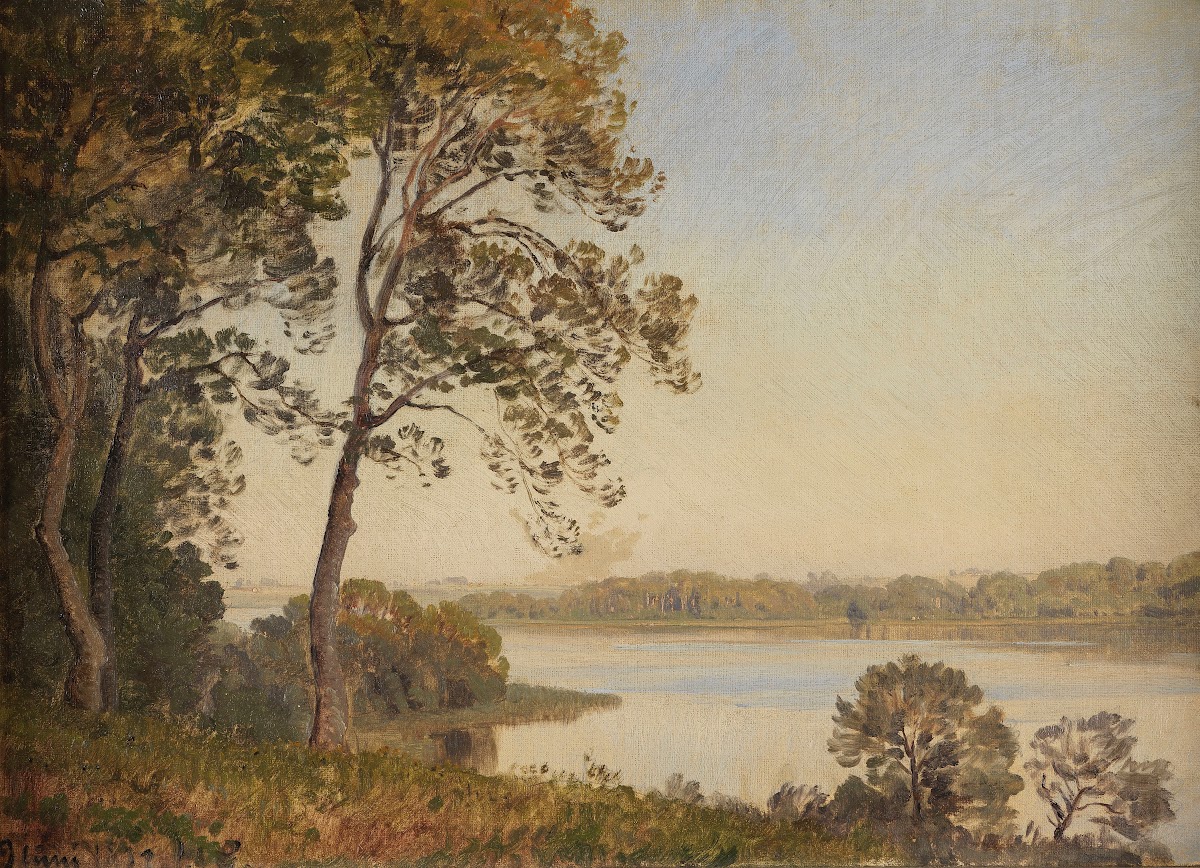 Dänische Landschaft mit Blick über einen Fjord 1877