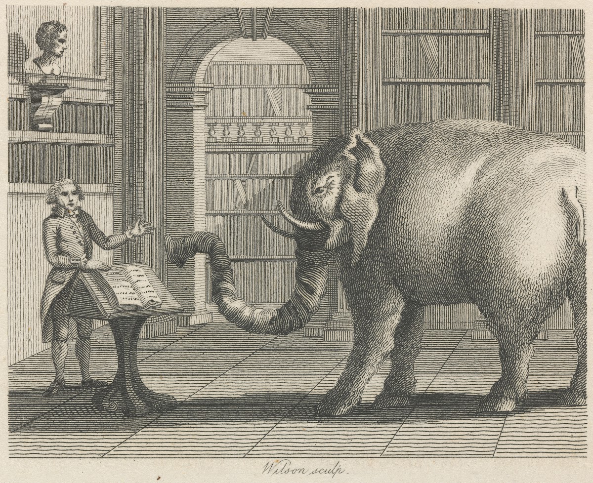 Fable X The Elephant and the Bookseller 1793