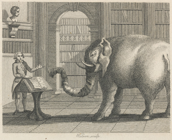 Fable X The Elephant and the Bookseller 1793