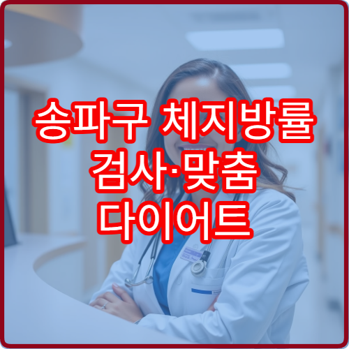 송파구 체지방률 검사·맞춤 다이어트 진료 병원 정보