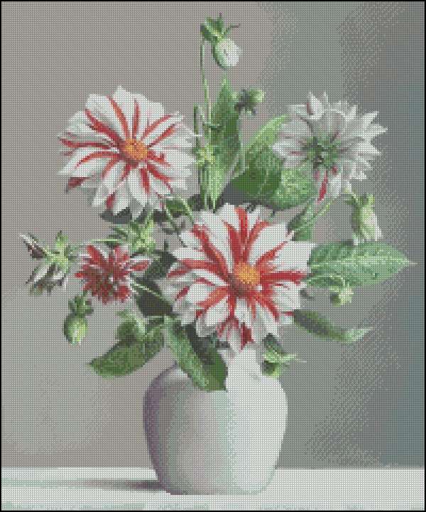 CMP 171526 Dahlias