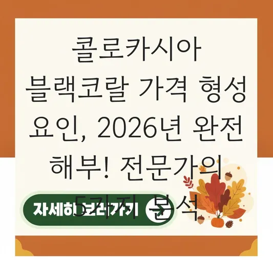 콜로카시아 블랙코랄 가격 형성 요인