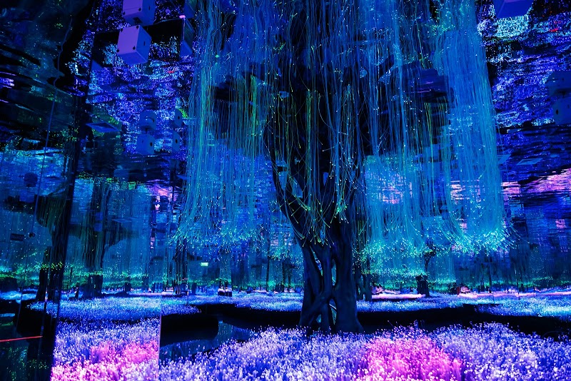 Avatar Tree