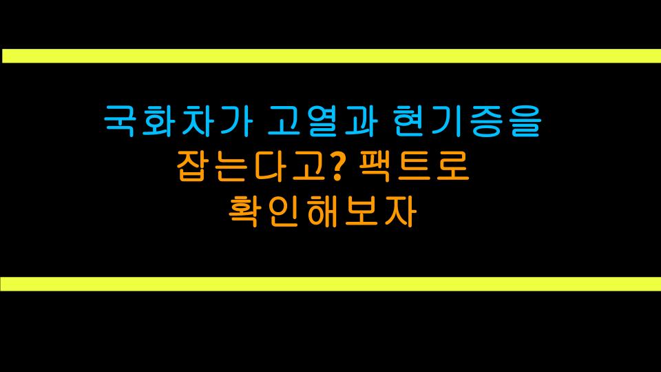 국화차가 고열과 현기증을 잡는다고? 팩트로 확인해보자