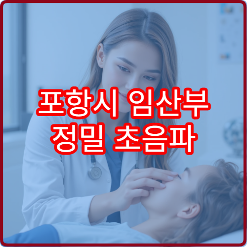 포항시 임산부 정밀 초음파 산전 기형아 검사 산부인과 병원