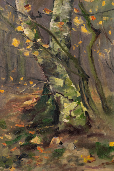 Waldinneres  Birkenstämme im Herbststurm 1912
