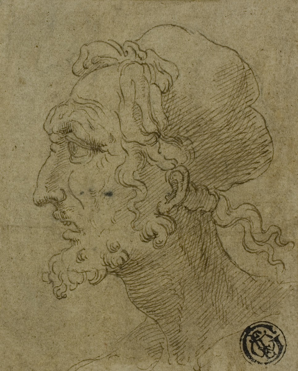 Male Head in Profile