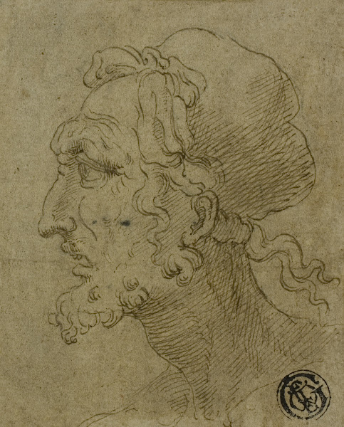 Male Head in Profile