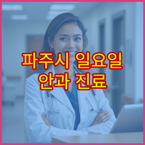 파주시 일요일 안과 진료 병원 결막염·다래끼 치료 가능