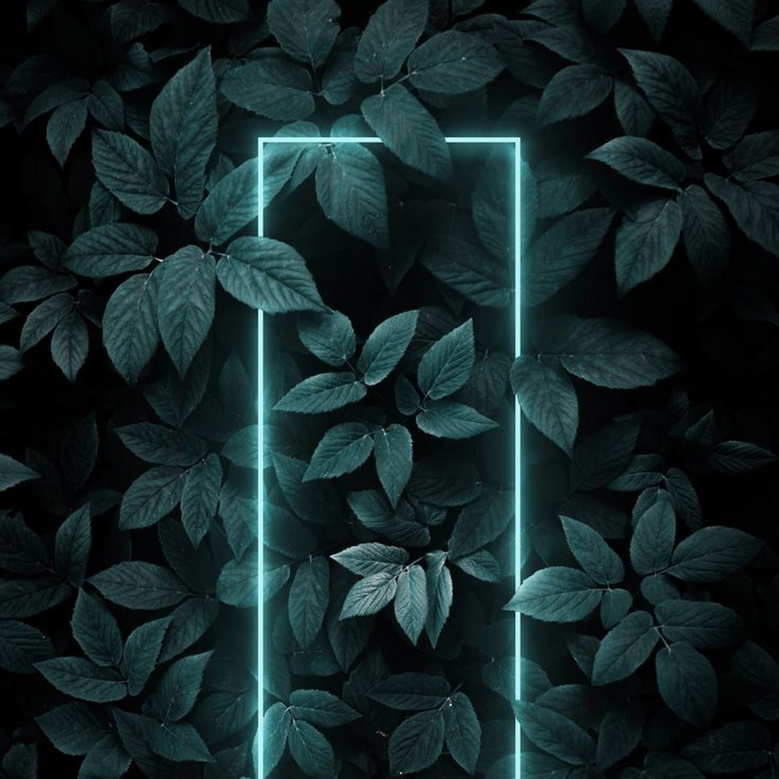 Download Glowing Neon Frame in Leaves iPhone