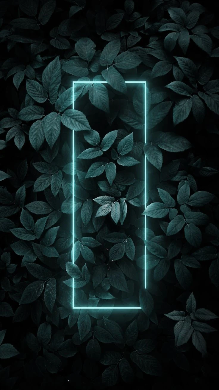 Glowing Neon Frame in Leaves - Minimalist Digital Art iPhone Wallpaper (736x1308)