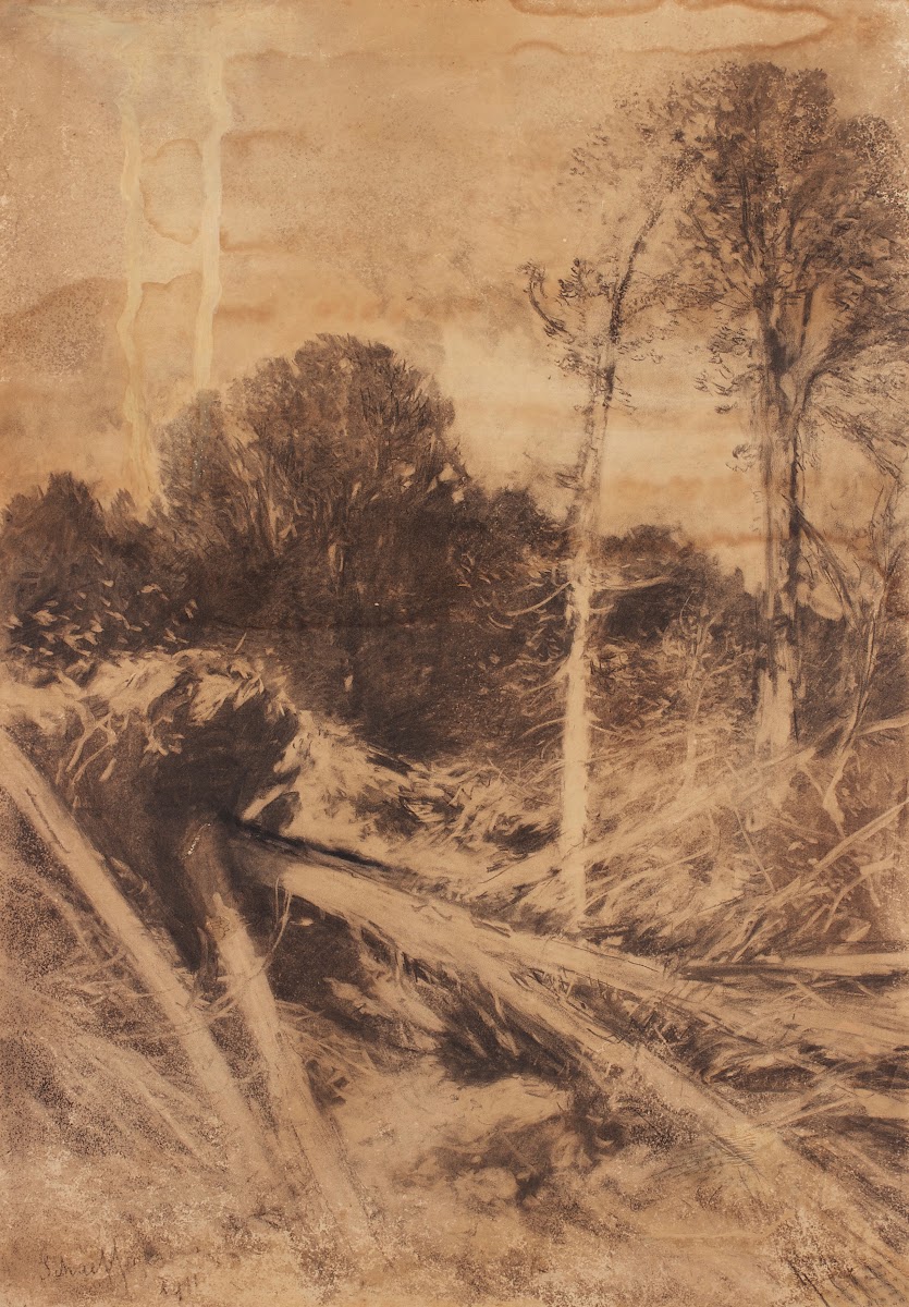 Baumstudie 1911