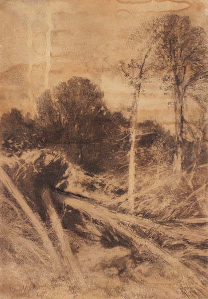 Baumstudie 1911