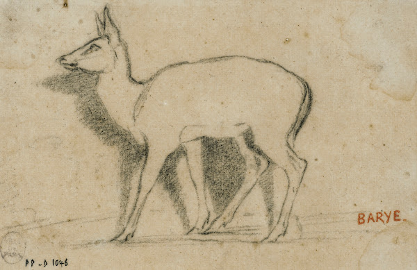 Etude de gazelle debout à gauche 19th century