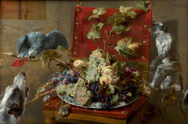 Plate of fruits on a chair surrounded by a parrot a monkey and a dog