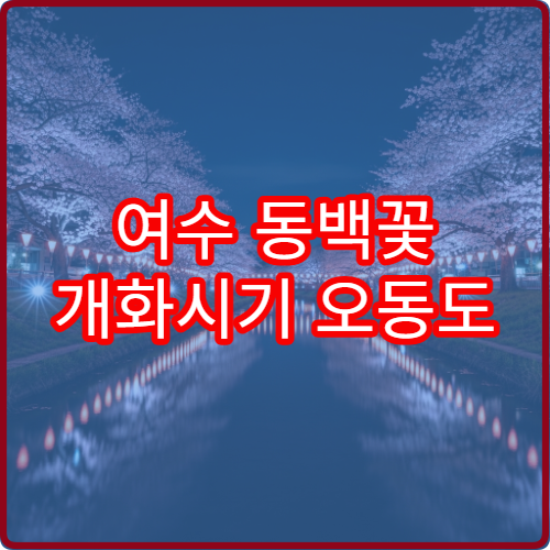 여수 동백꽃 개화시기 오동도 동백꽃 절정 정보