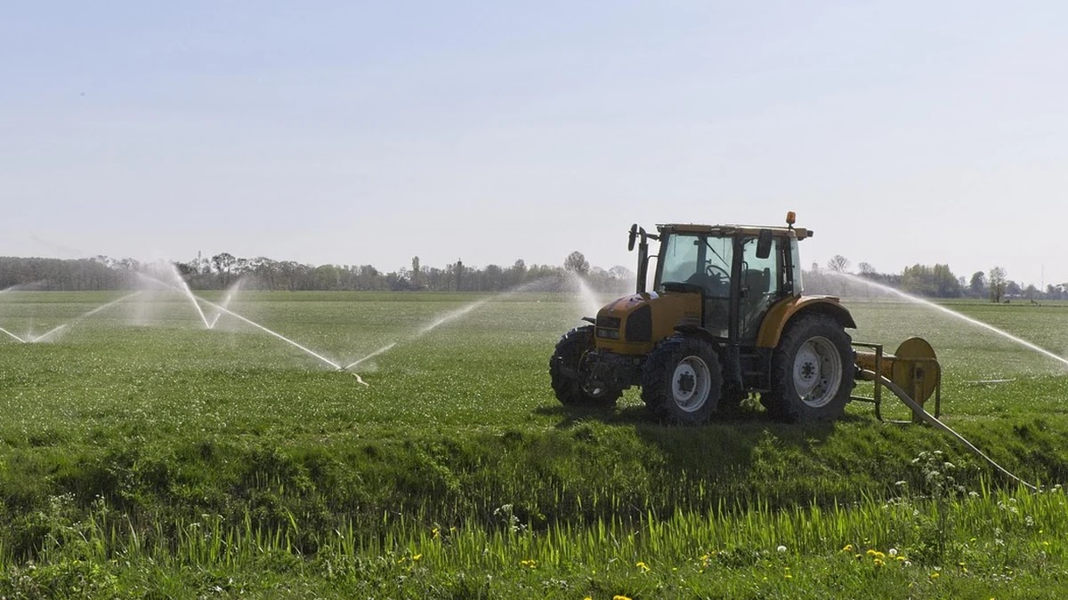 여행자보험 보장 범위별 리스크 관리 전략
