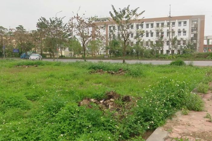 Xã Quốc Oai đấu giá 17 thửa đất ở khu đường vành đai Sài Sơn - Đài Phát thanh và truyền hình Hà Nội