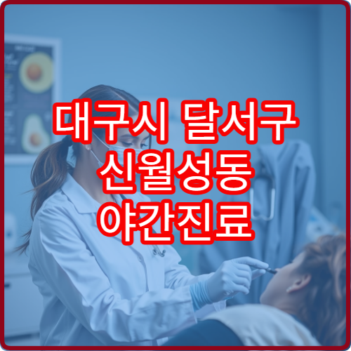 대구시 달서구 신월성동 야간진료 내과 정보