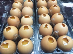 Khéo léo, đổ hỗn hợp làm trứng gà nướng Thái Lan vào vỏ trứng (không cho quá đầy sẽ vì trứng hấp chín sẽ nở bung ra). Đổ lần lượt đến khi hết số vỏ trứng.