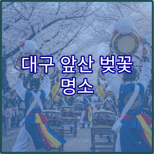 대구 앞산 벚꽃 명소 주말 대피 루트와 초보자 주차 전략 완벽 정리