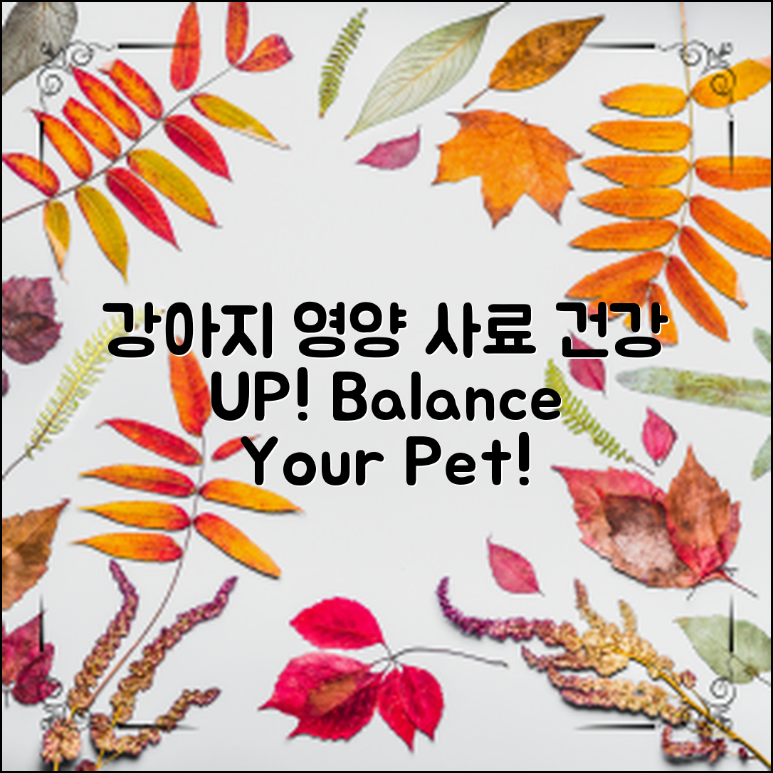 강아지영양밸런스사료로 건강 UP!