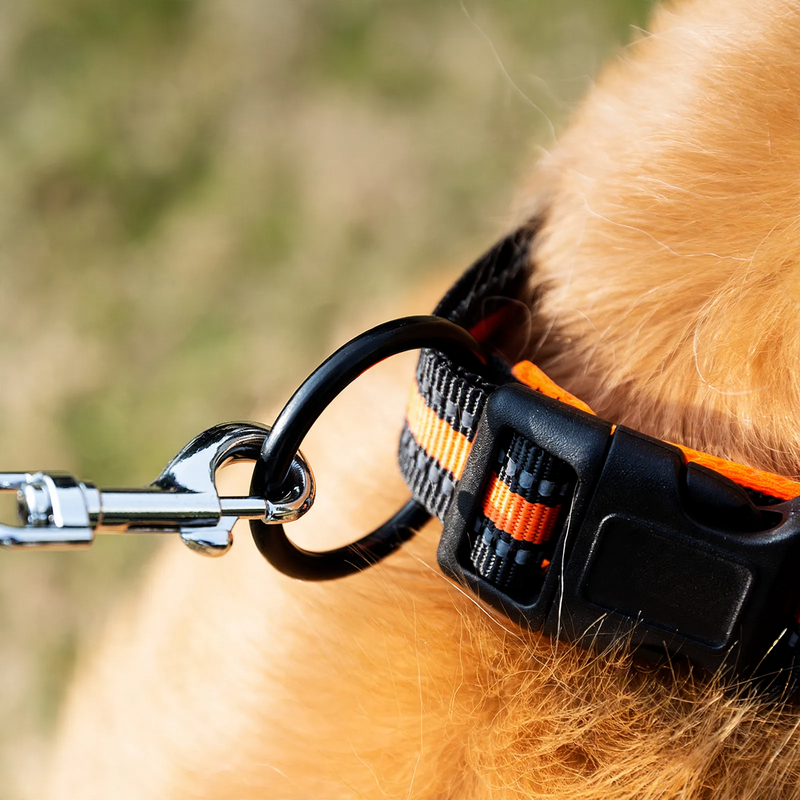 Fabric collar for dogs, adjustable and durable