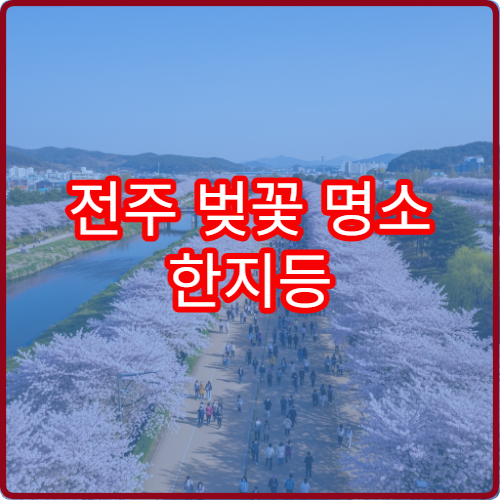 전주 벚꽃 명소 한지등 만들기 체험 좌석 예약 팁