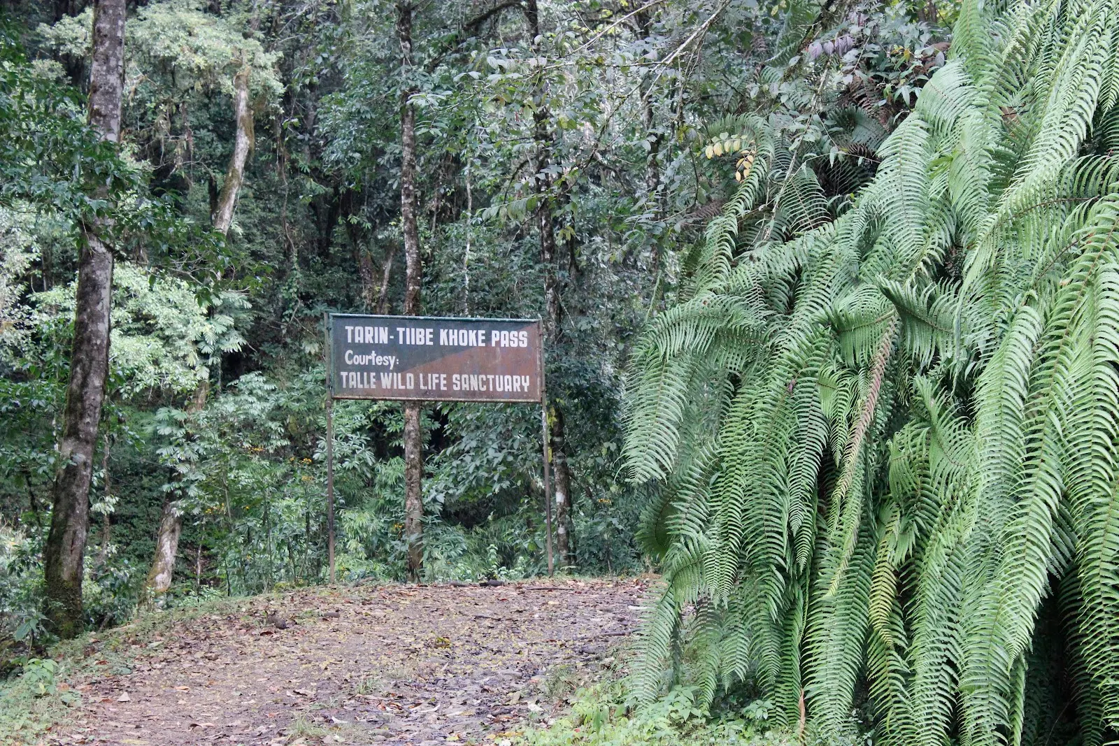 Talley Valley Wildlife Sanctuary