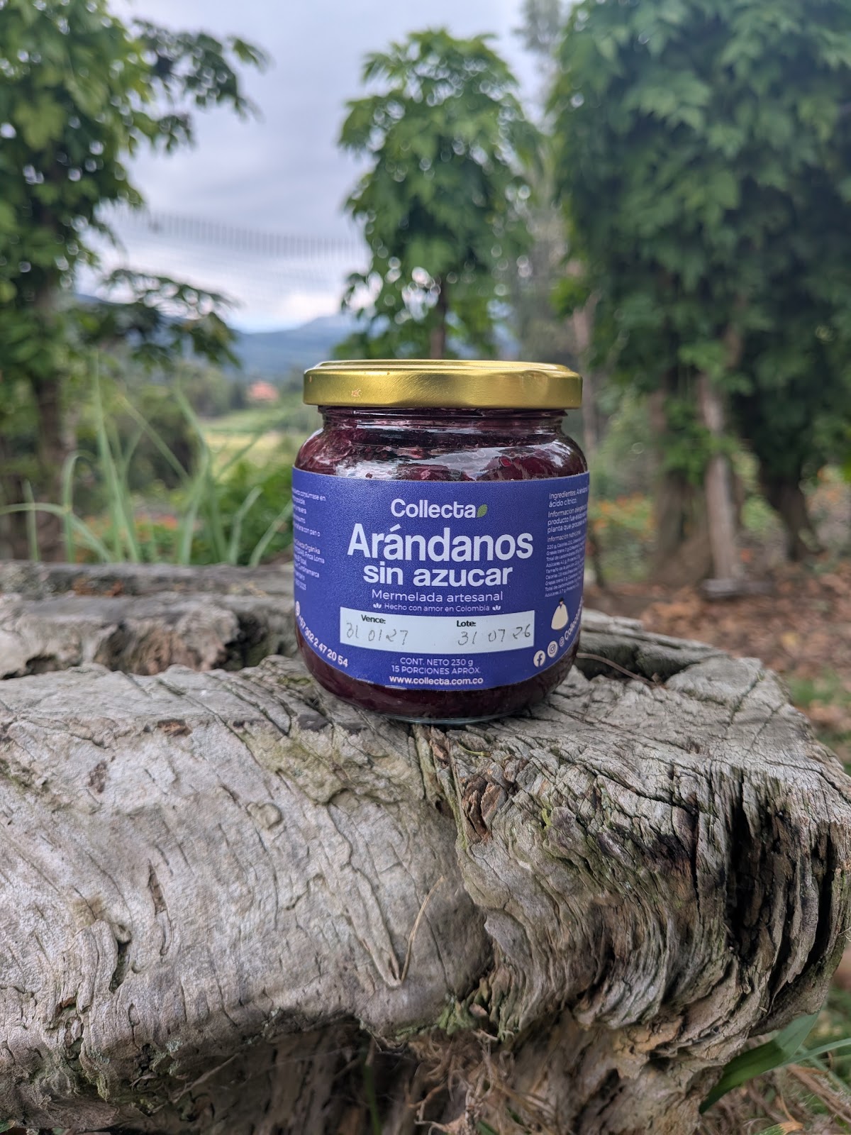 Comprar Mermelada de arandano sin azucar orgánico