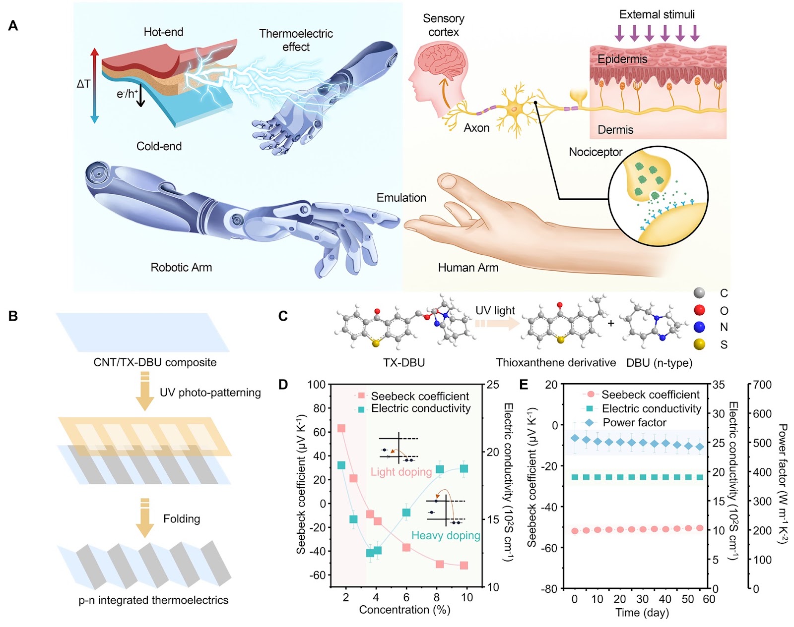 High-Reliability Thermoreceptors with Minimal Temporal and Spatial Variations Through Photo-Induced Patterning Thermoelectrics