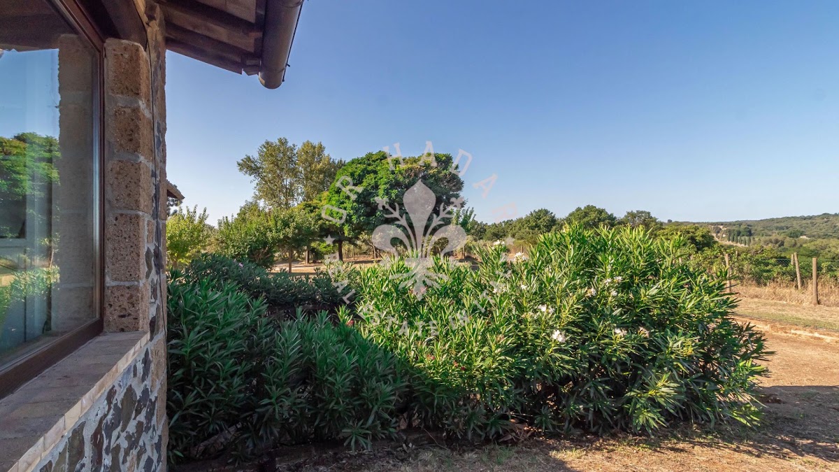 קאזאלה פוג'ו אוליבלה (Casale Poggio Olivella) — 21