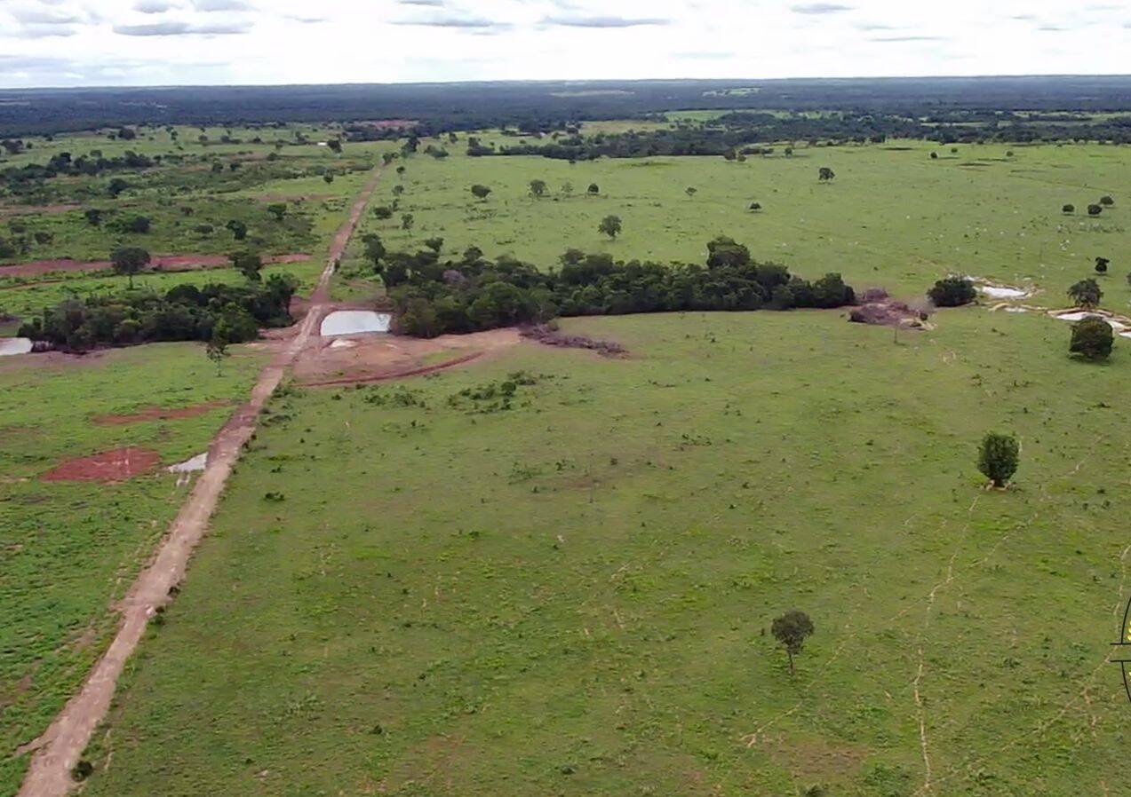 Fazenda no Município de Porangatu - GO 6
