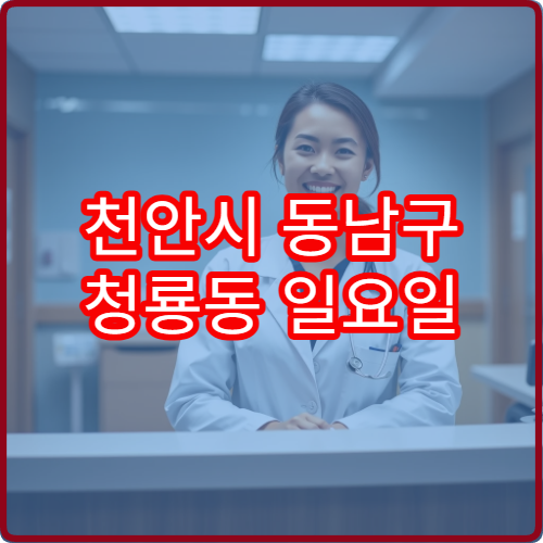 천안시 동남구 청룡동 일요일 정형외과 진료 병원 허리 무릎 통증 진료