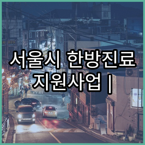 서울시 한방진료 지원사업 | 어르신 한의약 서비스