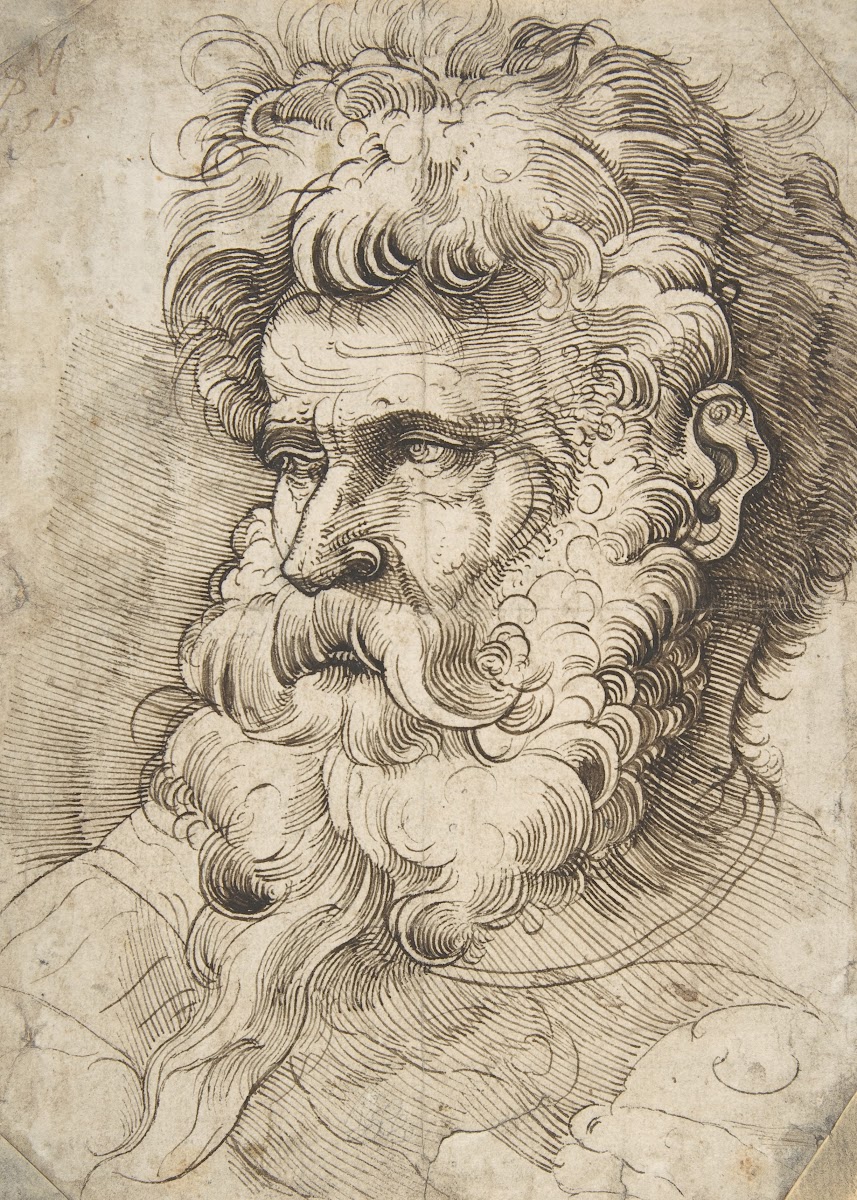 Head Of A Bearded Man 1515