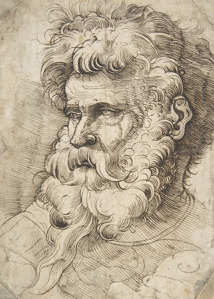 Head Of A Bearded Man 1515