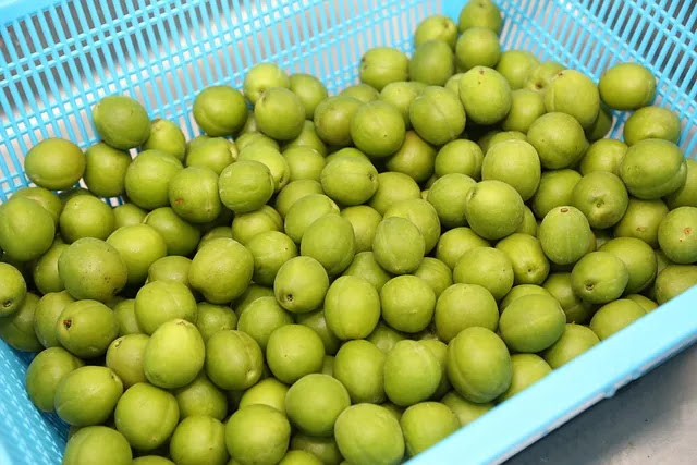 2026년 1월 사람들이 가장 많이 찾는 환불&middot;해지 키워드