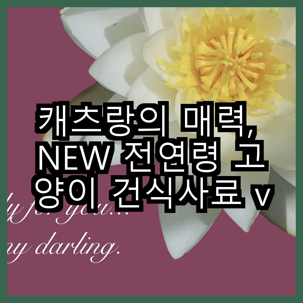 캐츠랑의 매력, NEW 전연령 고양이 건식사료 vs 리브레 5kg 2개, 어떤 선택이 더 좋을까? 썸네일