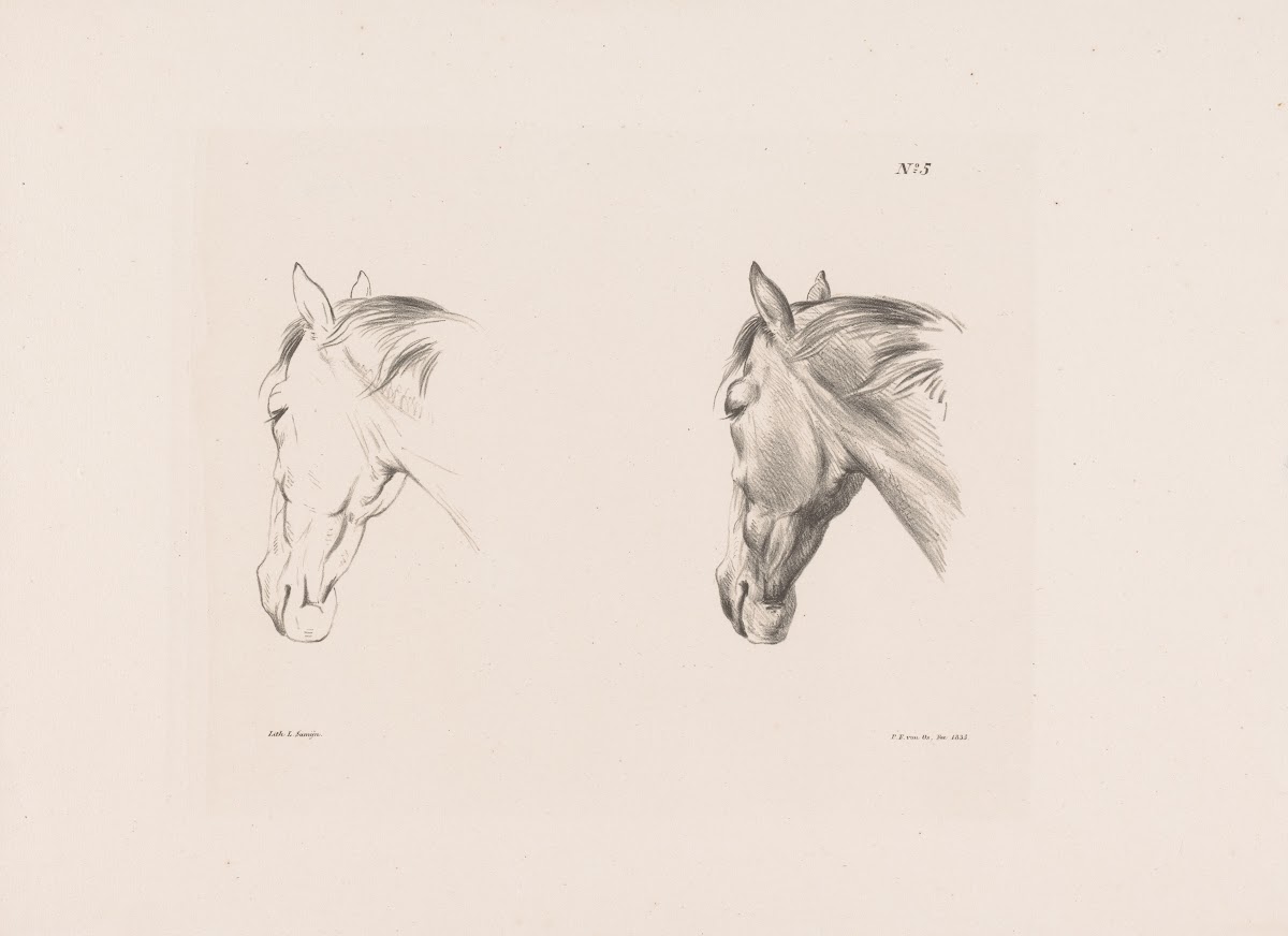 Twee studies van een paardenhoofd 1835