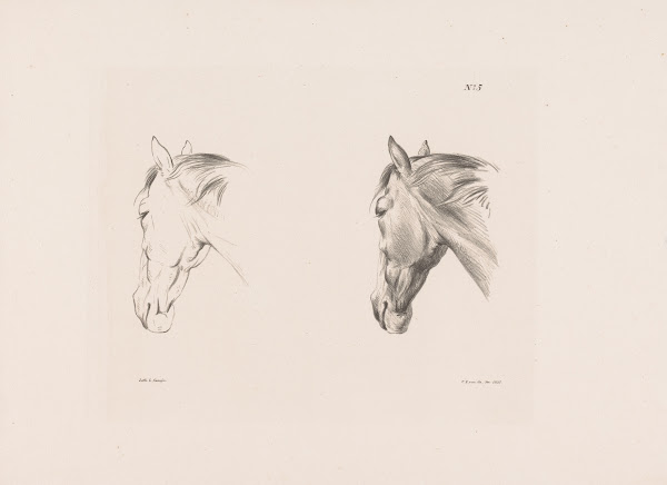 Twee studies van een paardenhoofd 1835