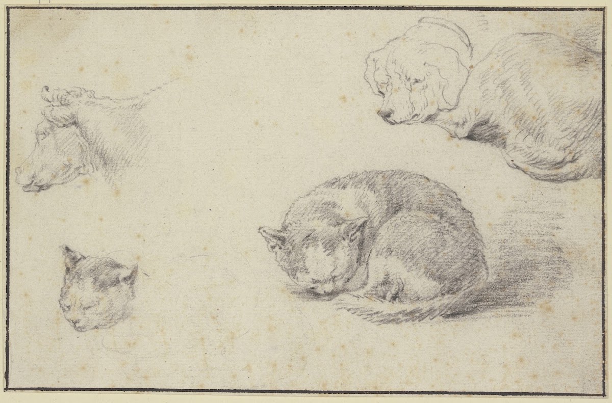 Schlafende Katze und Hund ein Kuhkopf und ein Katzenkopf