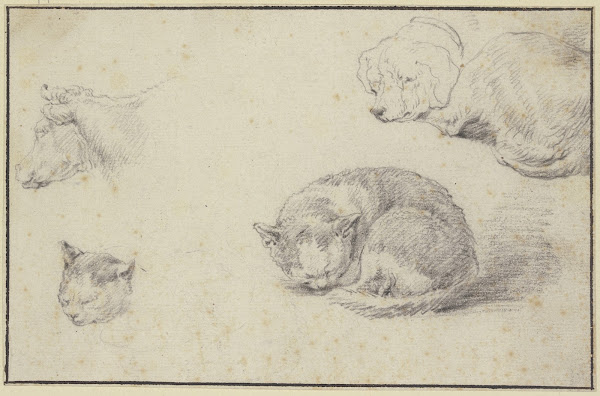 Schlafende Katze und Hund ein Kuhkopf und ein Katzenkopf