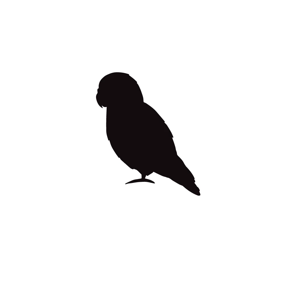A minimalist black silhouette of an African lovebird, standing on its feet and facing to the left.