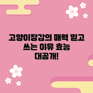 고양이장갑, 고양이 용품, 애완동물 관리, 고양이 털 제거, 고양이 그루밍