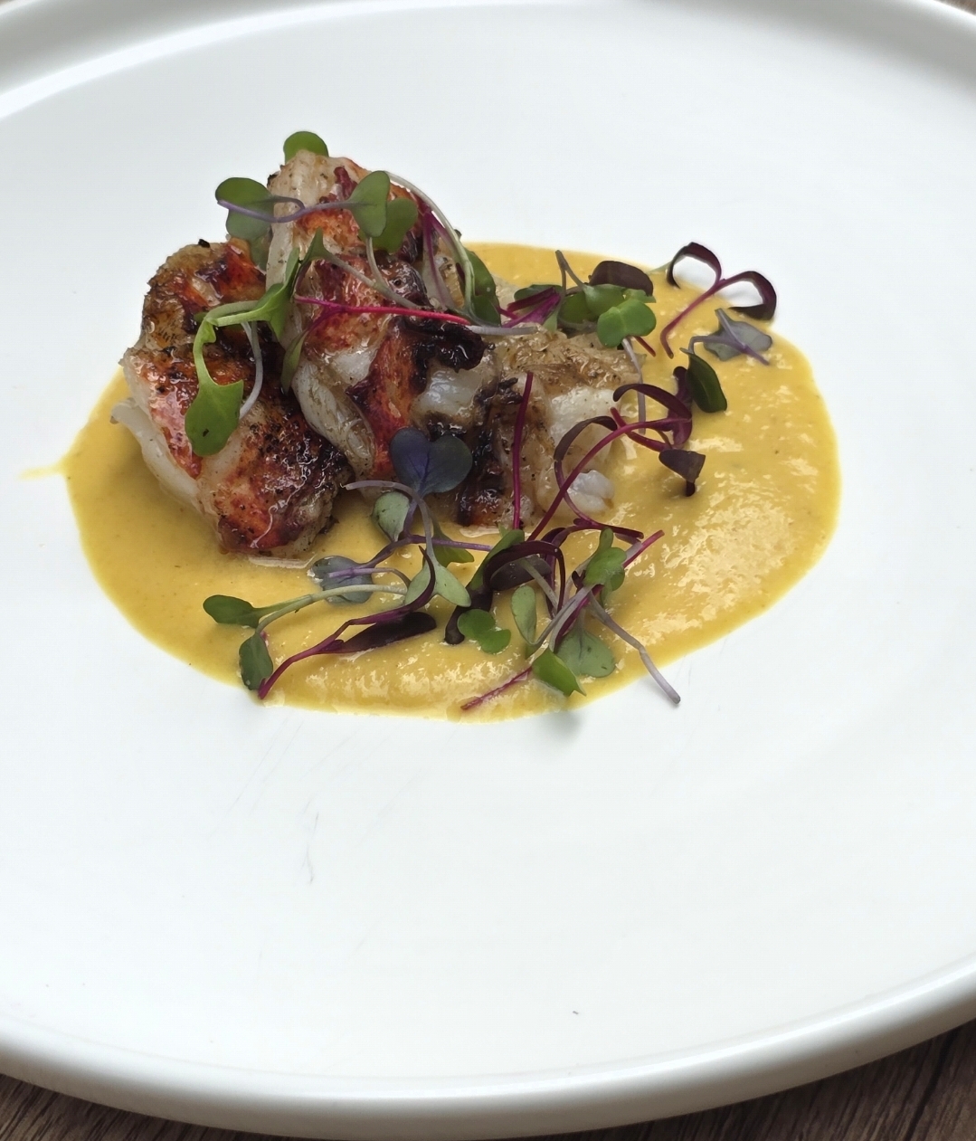 Mushroom Conserva on Crostini, Lamb Bolognese, Squash Ravioli