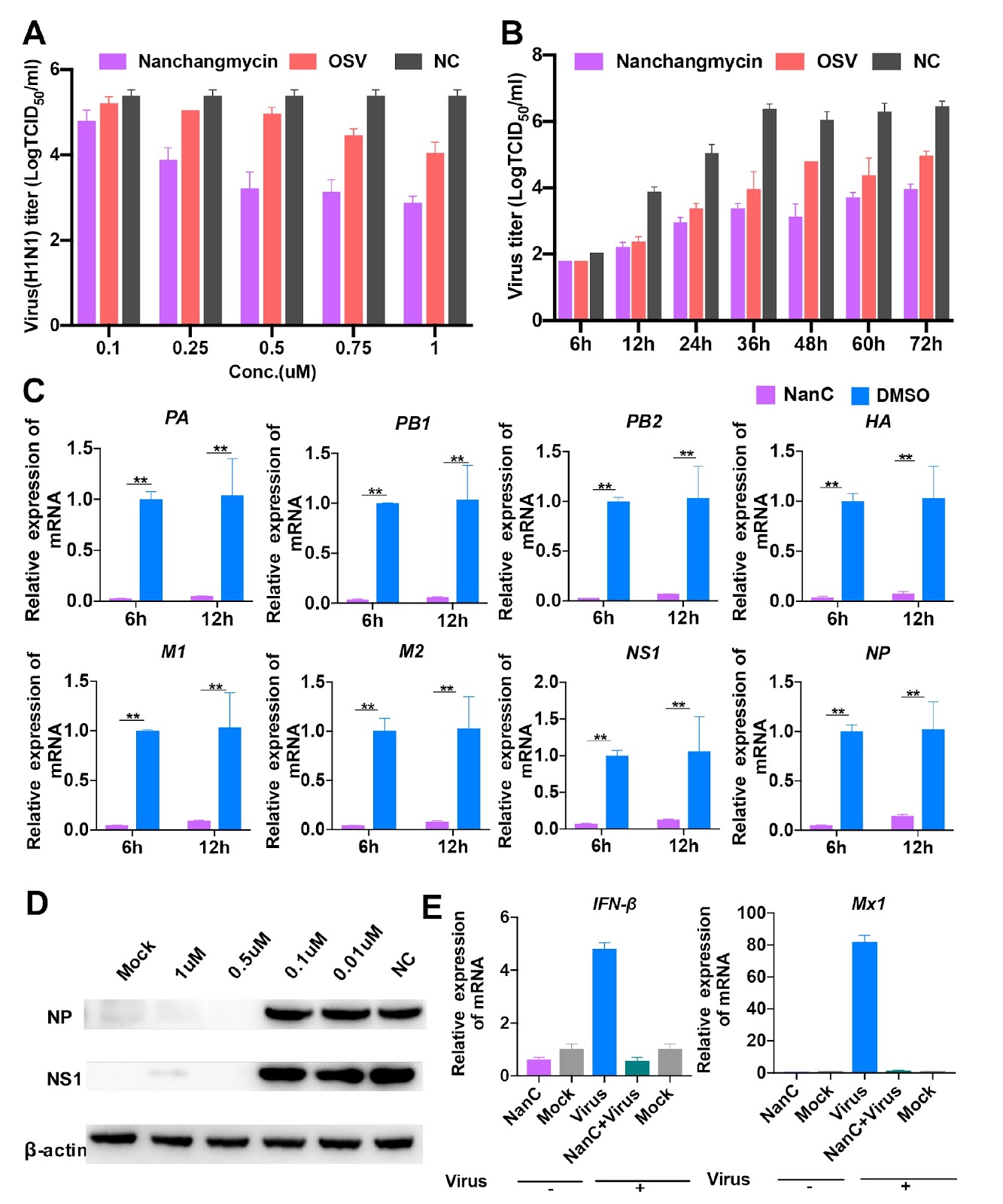 Nanchangmycin suppresses influenza A virus infection by blocking endosomal acidification