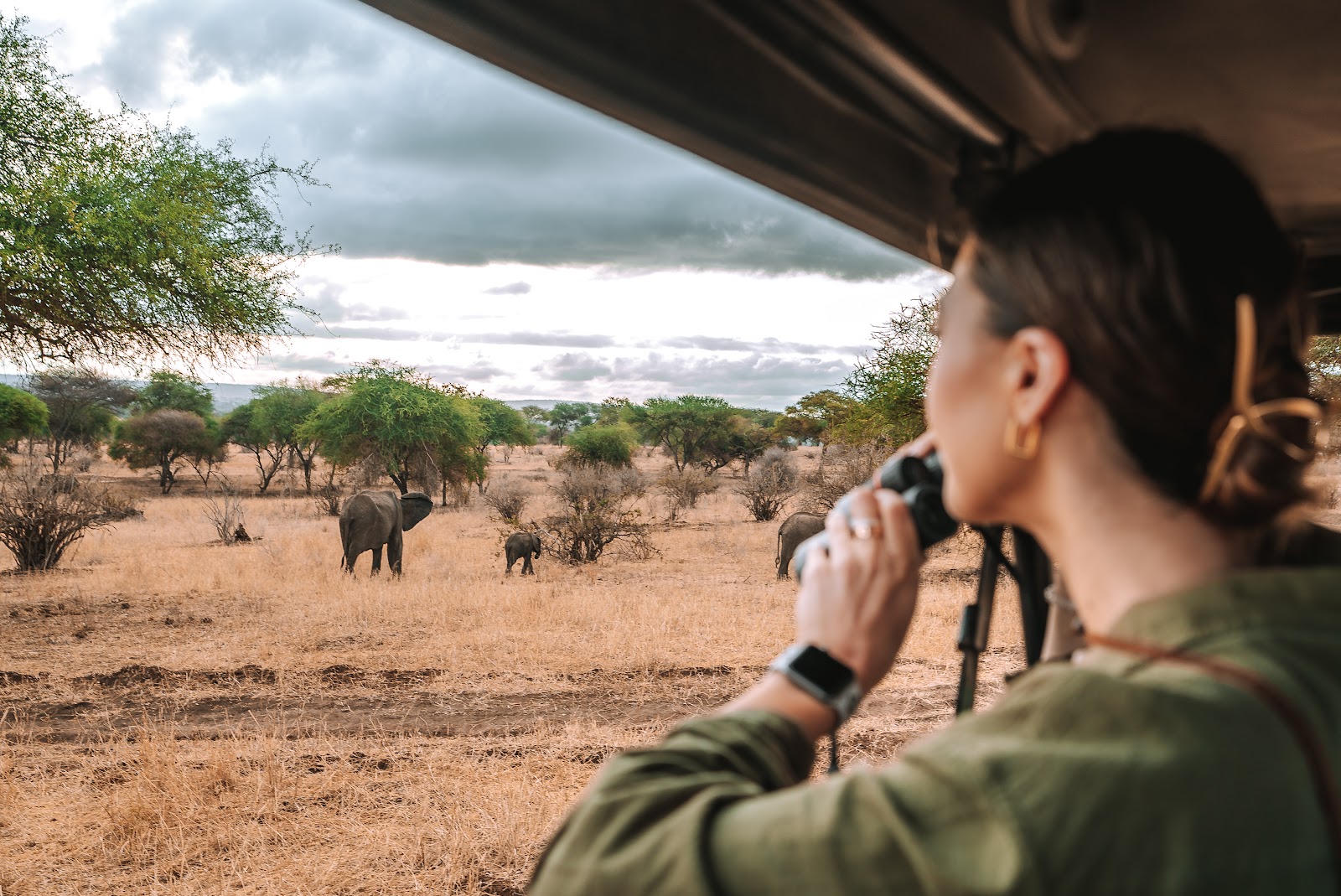 Tarangire · Game Drive